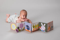 Taf toys lavinamoji knygelė Urban Garden