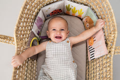 Taf toys lavinamoji knygelė Urban Garden