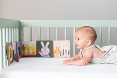 Taf toys lavinamoji knygelė Urban Garden