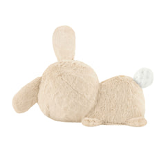 Fisher-Price Migdukas HXG97 - Zuikis