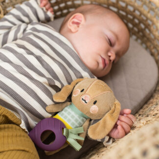 Taf toys žaislas Jenny The Bunny