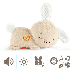 Fisher-Price Migdukas HXG97 - Zuikis