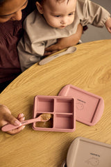 Filibabba kūdikių maisto šaldiklio formelės 4 × 65 ml – 2 vnt. pakuotė – Rose Mix