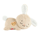 Fisher-Price Migdukas HXG97 - Zuikis