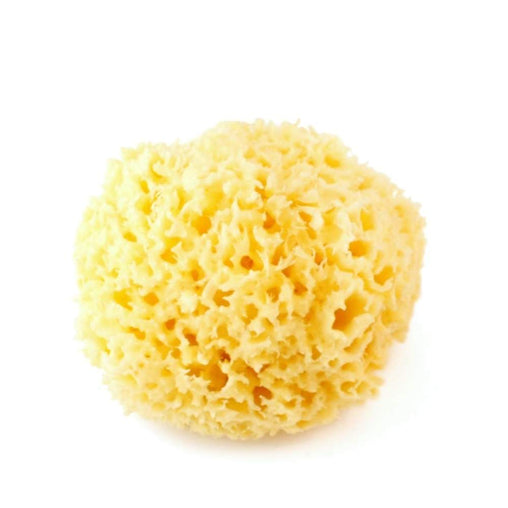 Bellini baby natūrali kempinė, 8 cm