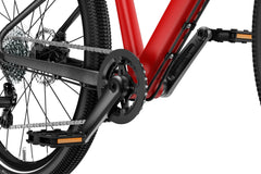 Dviratis WOOM EXP 4 RED