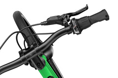 Dviratis WOOM EXP 4 JUNGLE GREEN