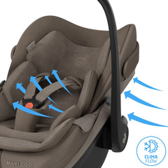 Automobilinė kėdutė Maxi Cosi Pebble Slide Pro - Oak Truffle