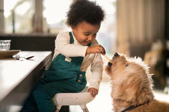 Maitinimo kėdutė Maxi Cosi Moa 8in1 - Spalva - Beyond Graphite