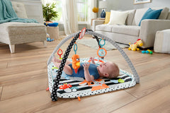 Fisher Price 0+ mėn. Lavinamasis kilimėlis