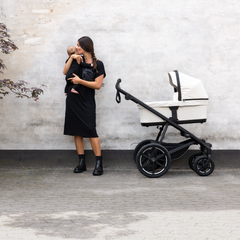 Universalus vežimėlis Thule Urban Glide 4-wheel 2in1 (Black)