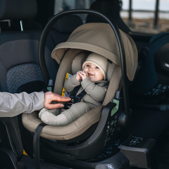 Thule Maple Connect