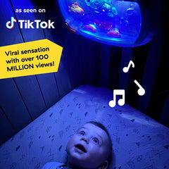 Baby Einstein muzikinis migdukas lovytei Sea Dreams