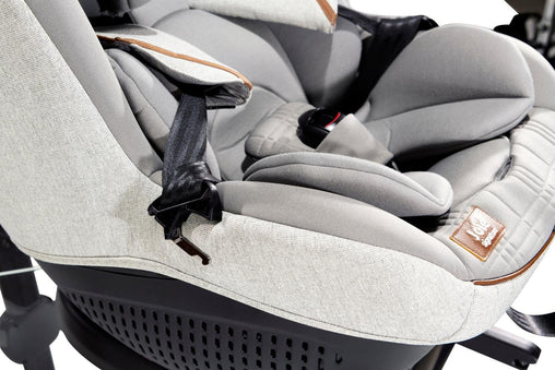 Joie I-Quest Oyster
