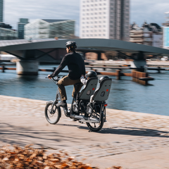 Thule Yepp Nexxt 2 Maxi galinė vaikiška dviračio kėdutė (tvirtinama prie rėmo)